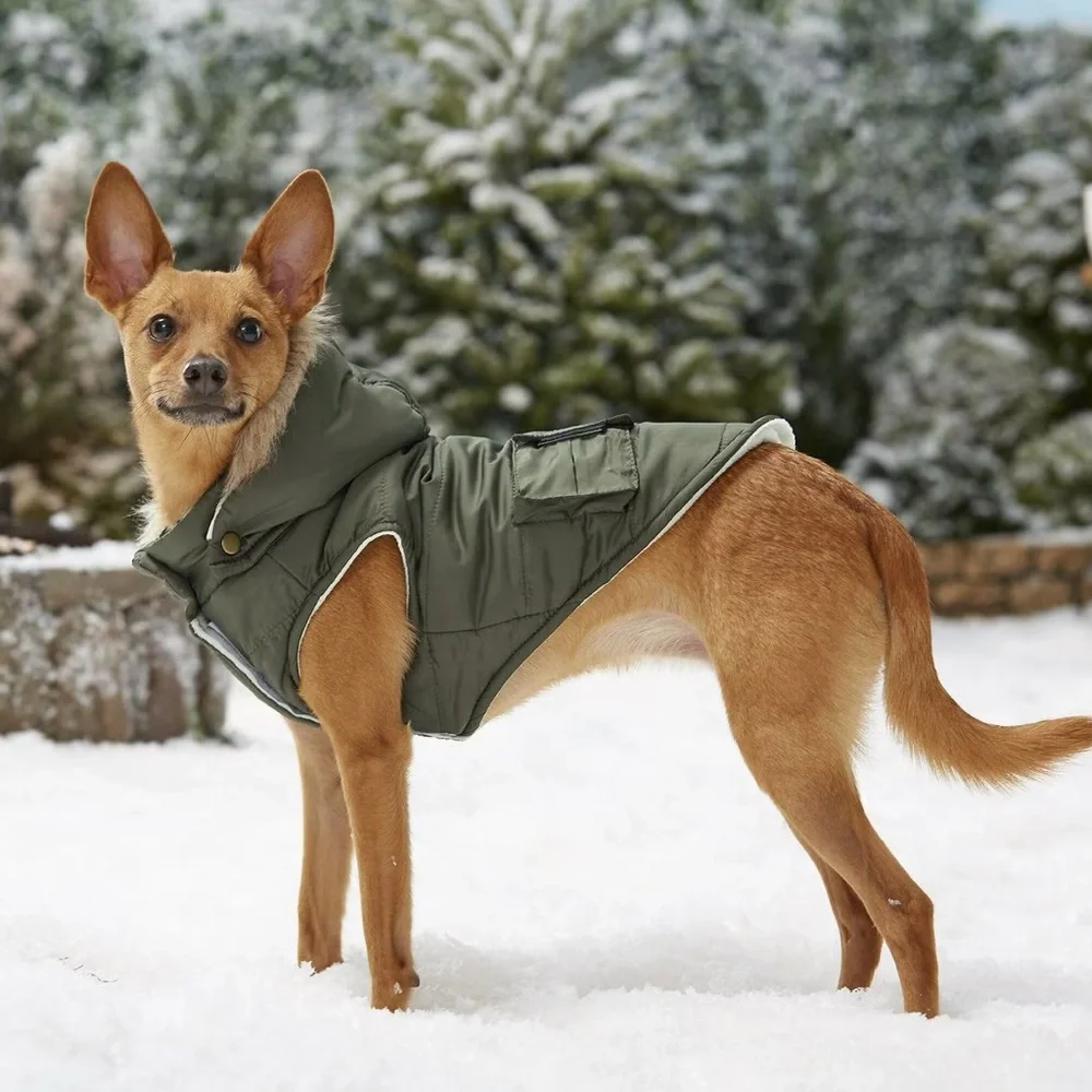 NEW Dog Green Jacket